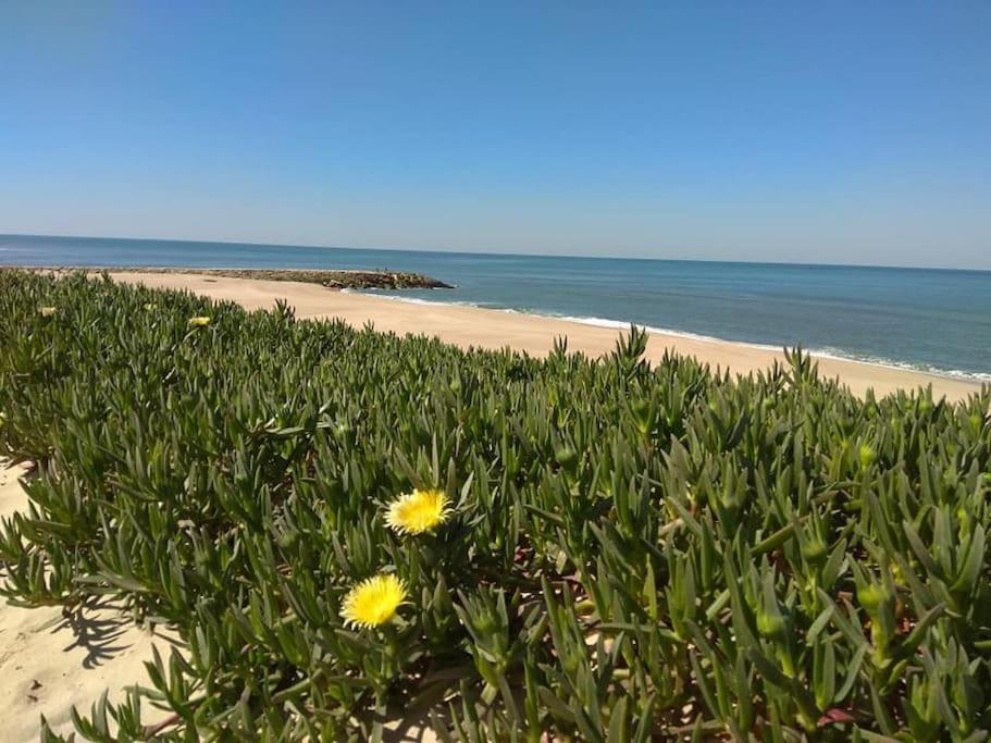 Casa De Praia Acolhedora/ Cosy Beach House Marinha das Ondas Dış mekan fotoğraf