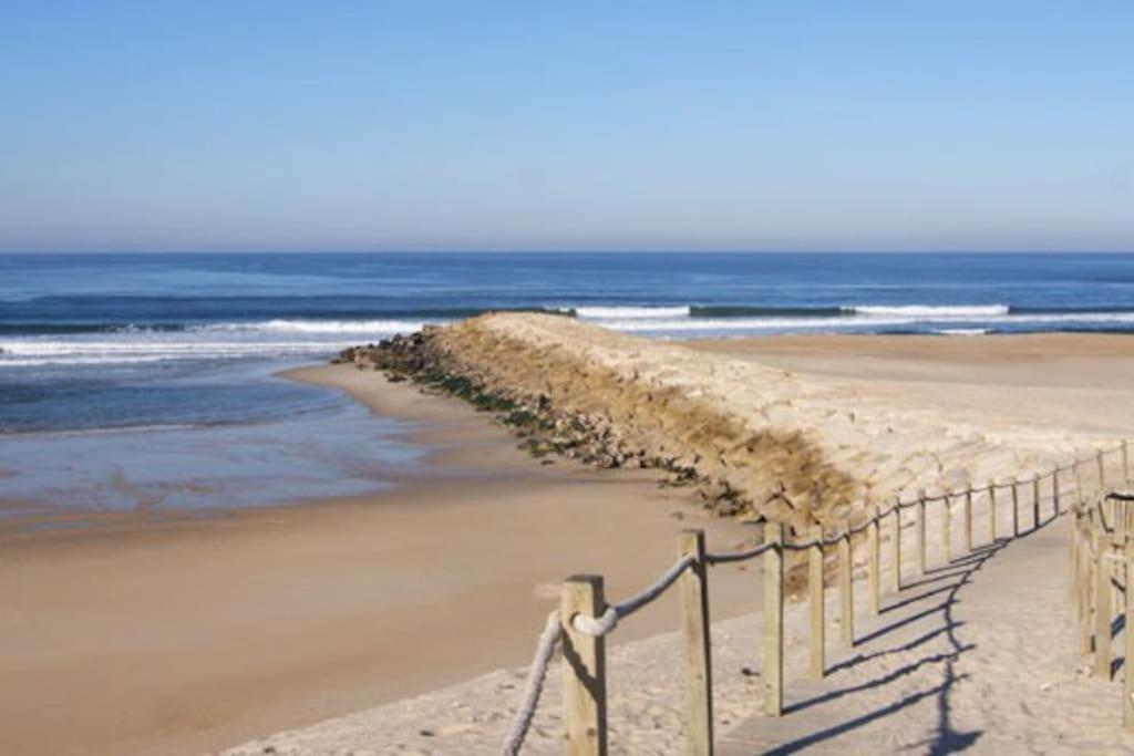 Casa De Praia Acolhedora/ Cosy Beach House Marinha das Ondas Dış mekan fotoğraf